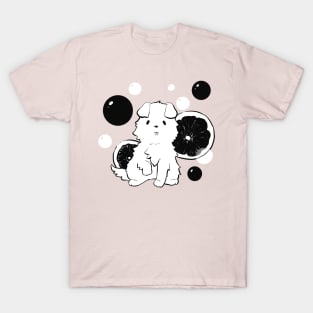 Dog T-Shirt